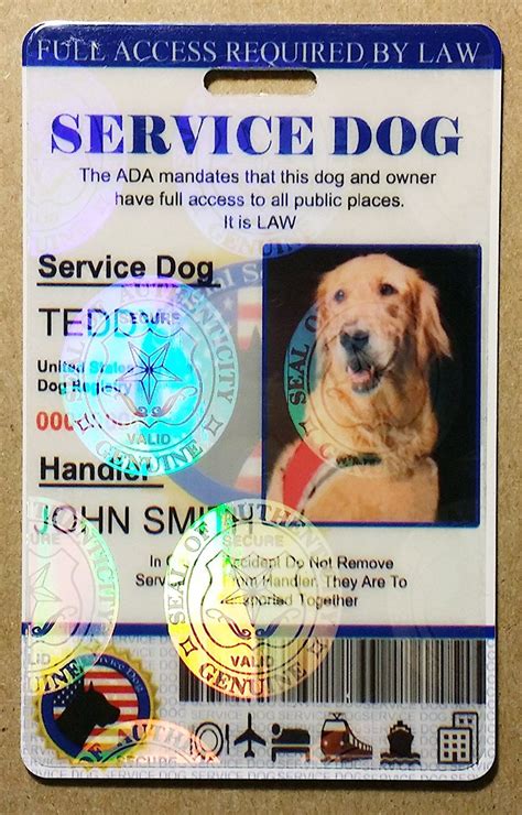 veteran sho shot dog faked service dog paperwork|service dog impersonation.